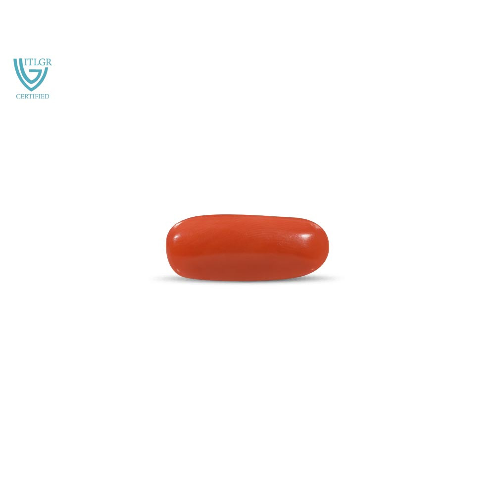 Red Coral - 13.21 Carat
