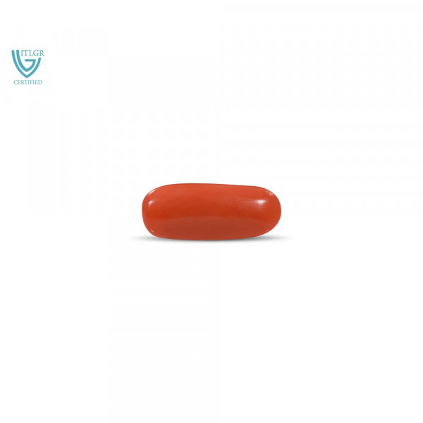 Red Coral - 13.21 Carat