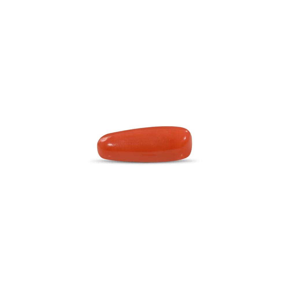Red Coral - 13.21 Carat