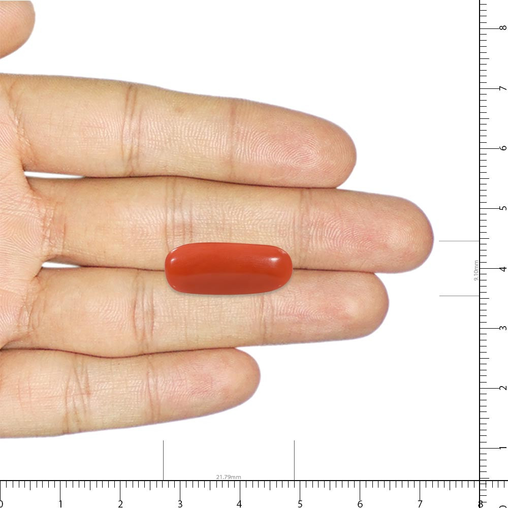 Red Coral - 13.21 Carat