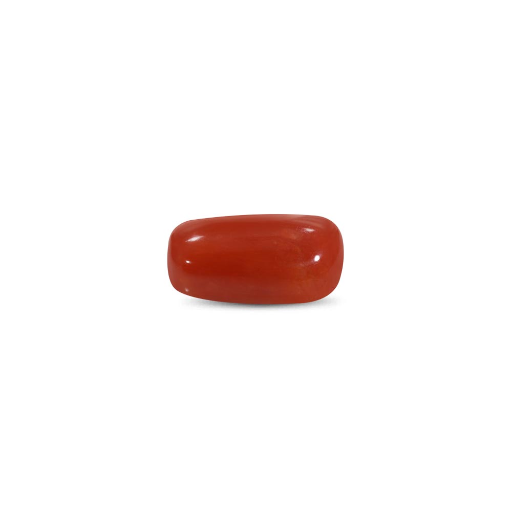 Red Coral - 13.28 Carat
