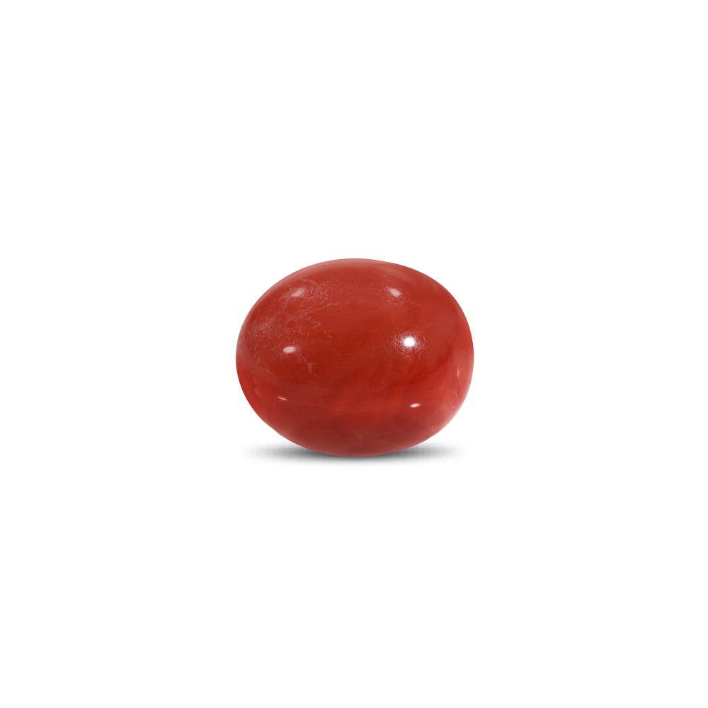 Red Coral - 13.33 Carat