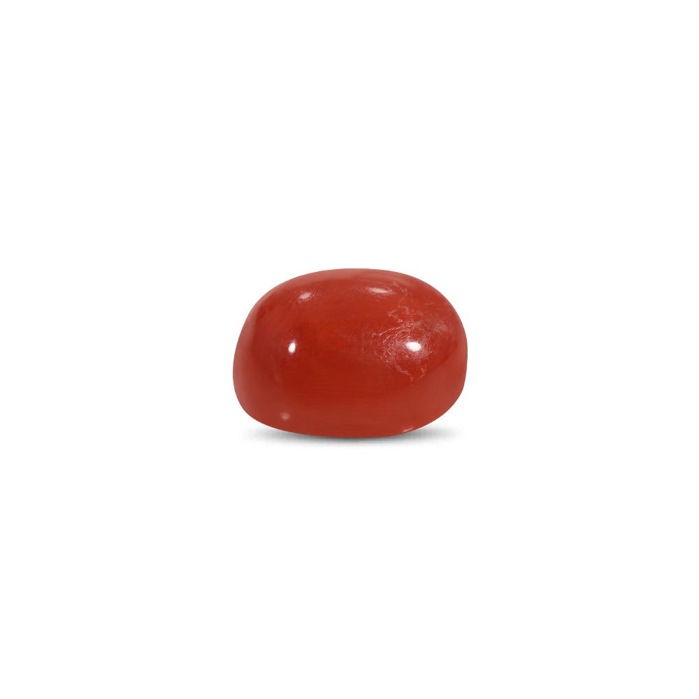 Red Coral - 13.33 Carat