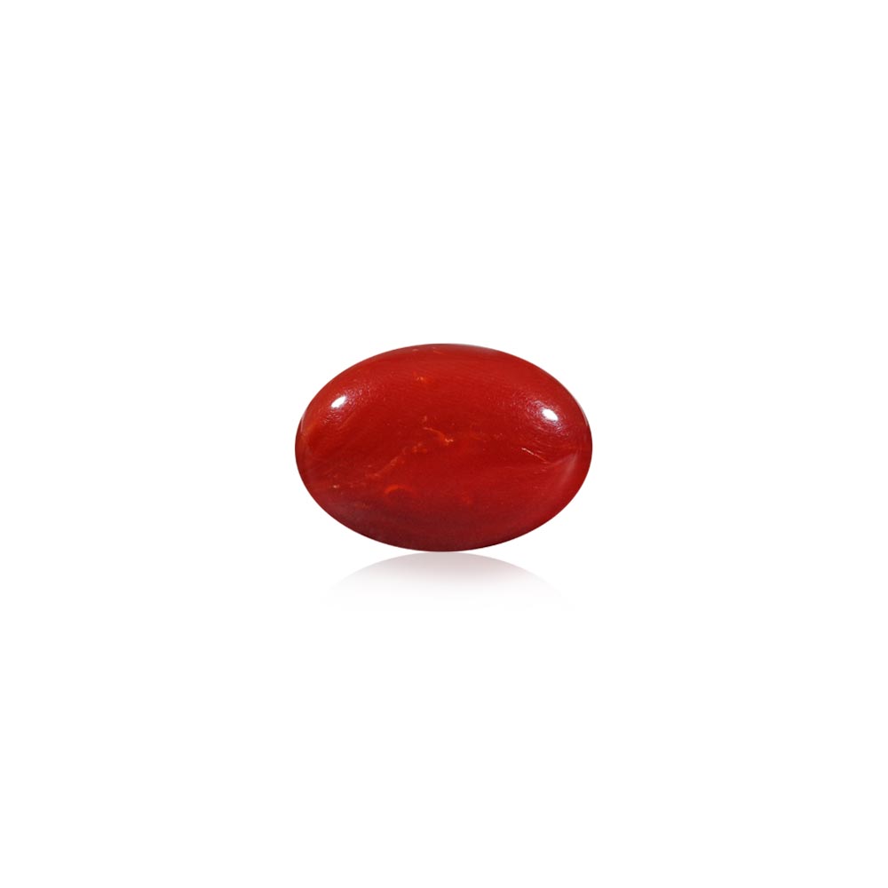 Red Coral - 13.42 Carat