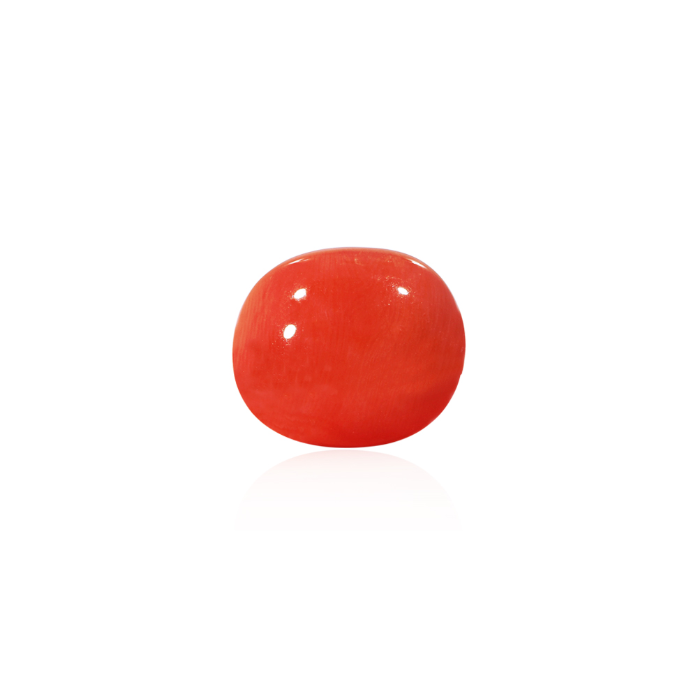 Red Coral - 14.01 Carat