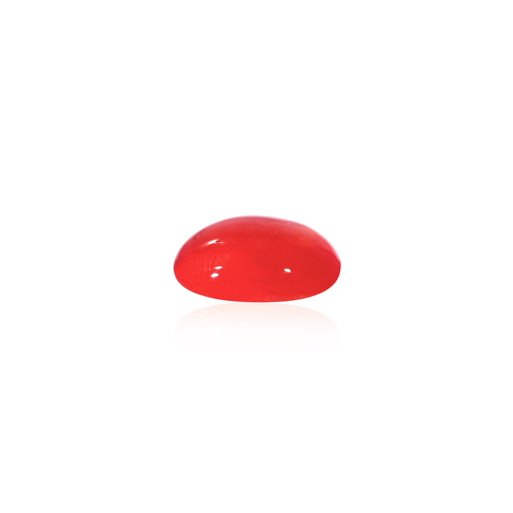 Red Coral - 14.01 Carat
