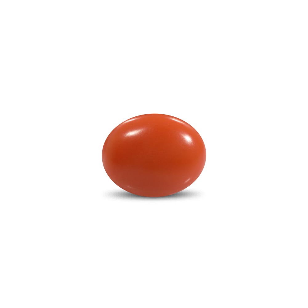 Red Coral - 14.3 Carat