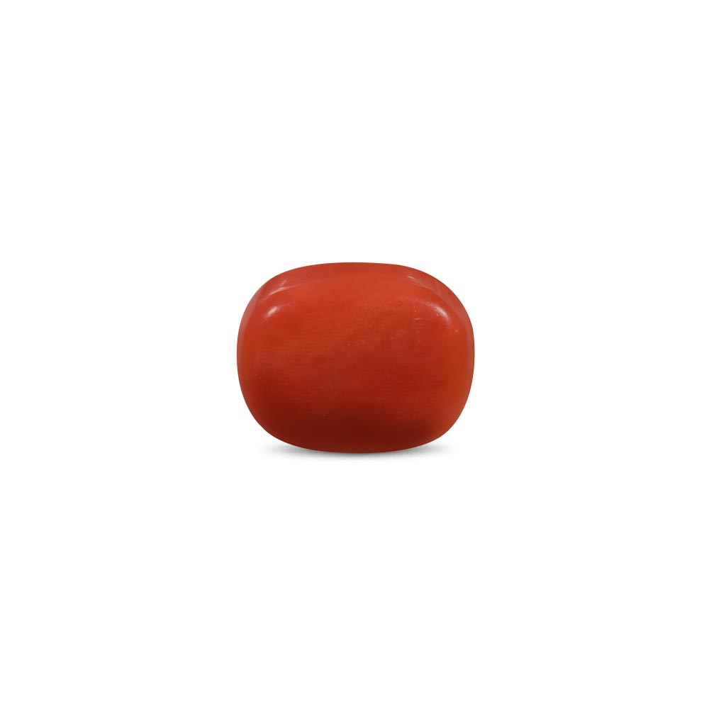 Red Coral - 14.37 Carat