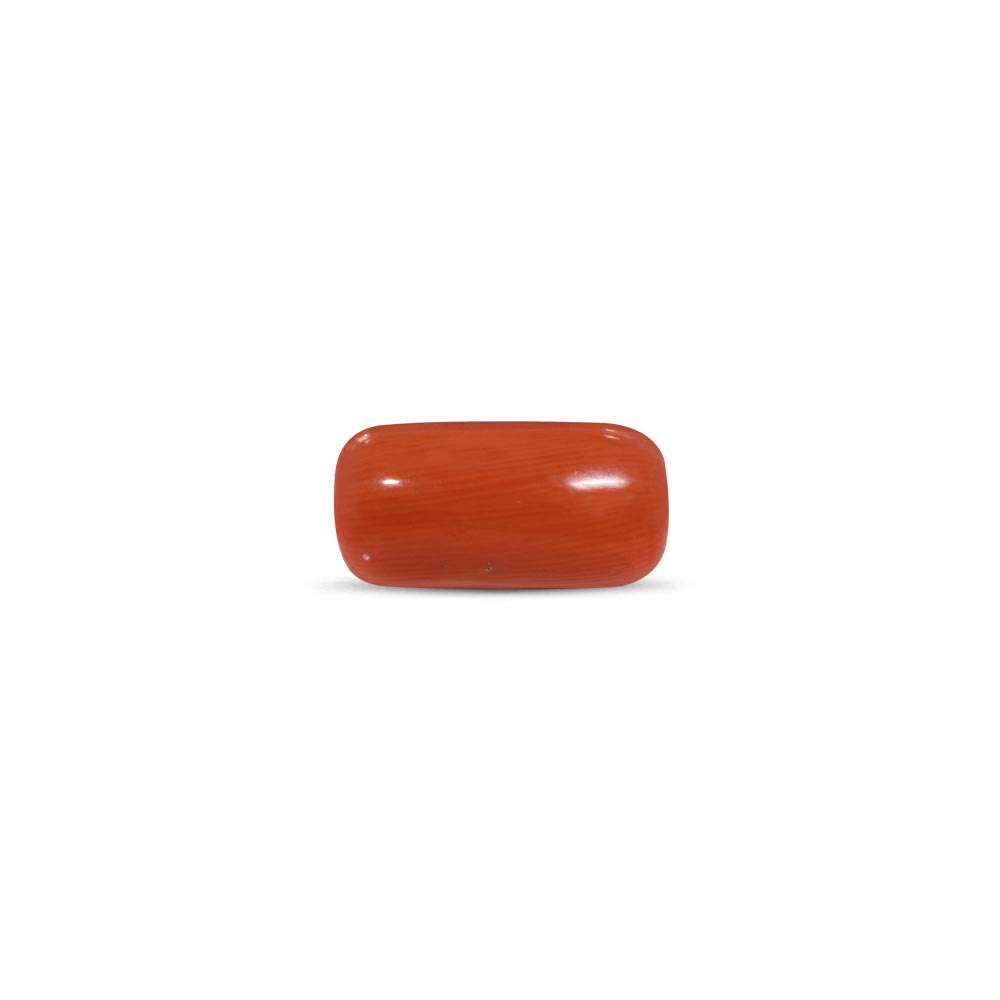 Red Coral - 14.44 Carat