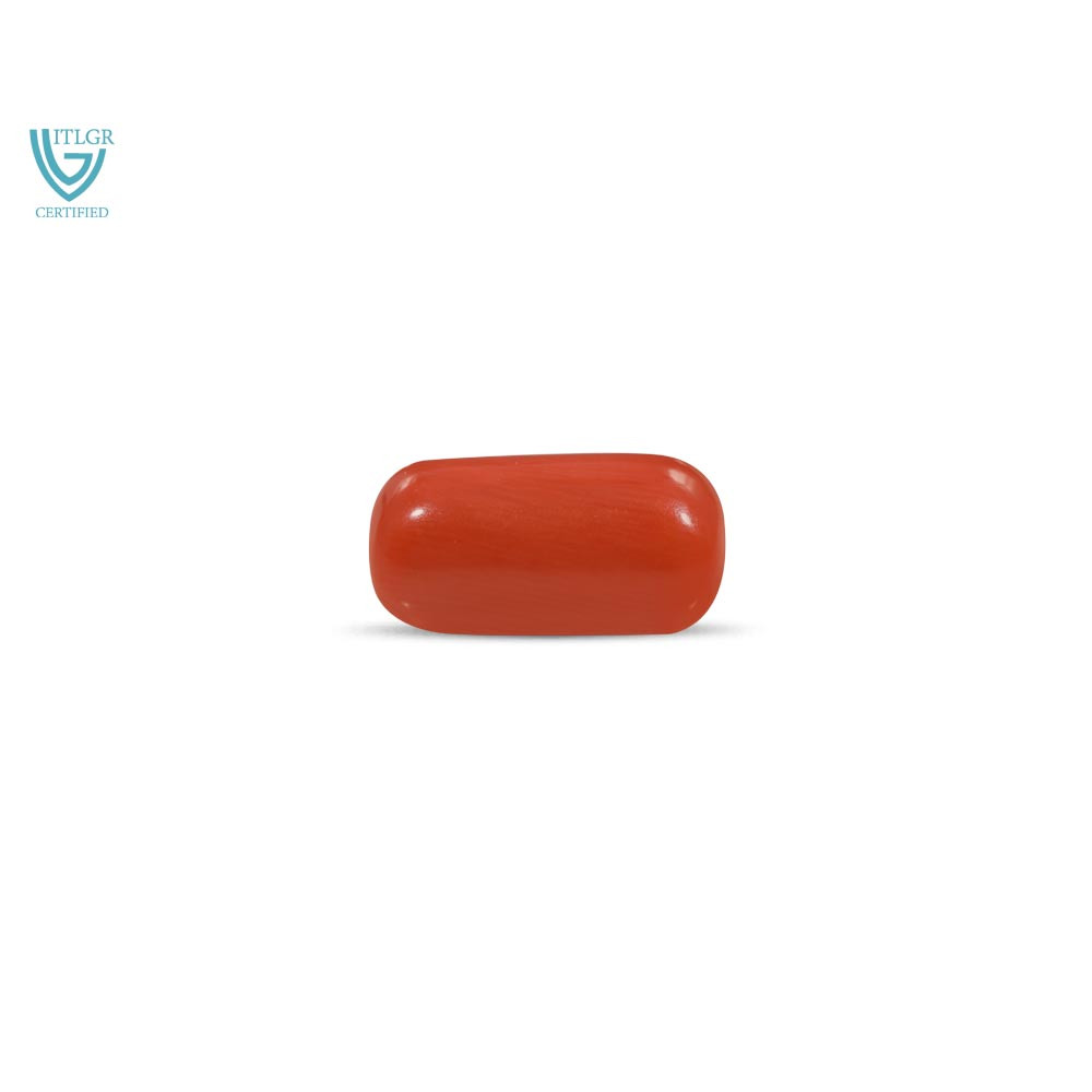 Red Coral - 14.57 Carat
