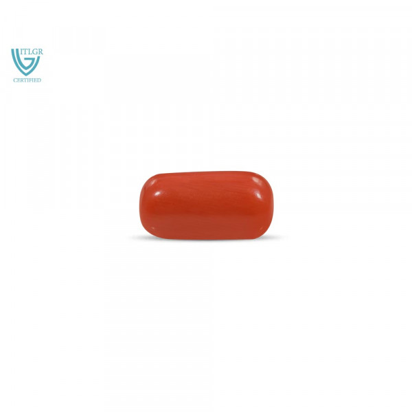 Red Coral - 14.57 Carat