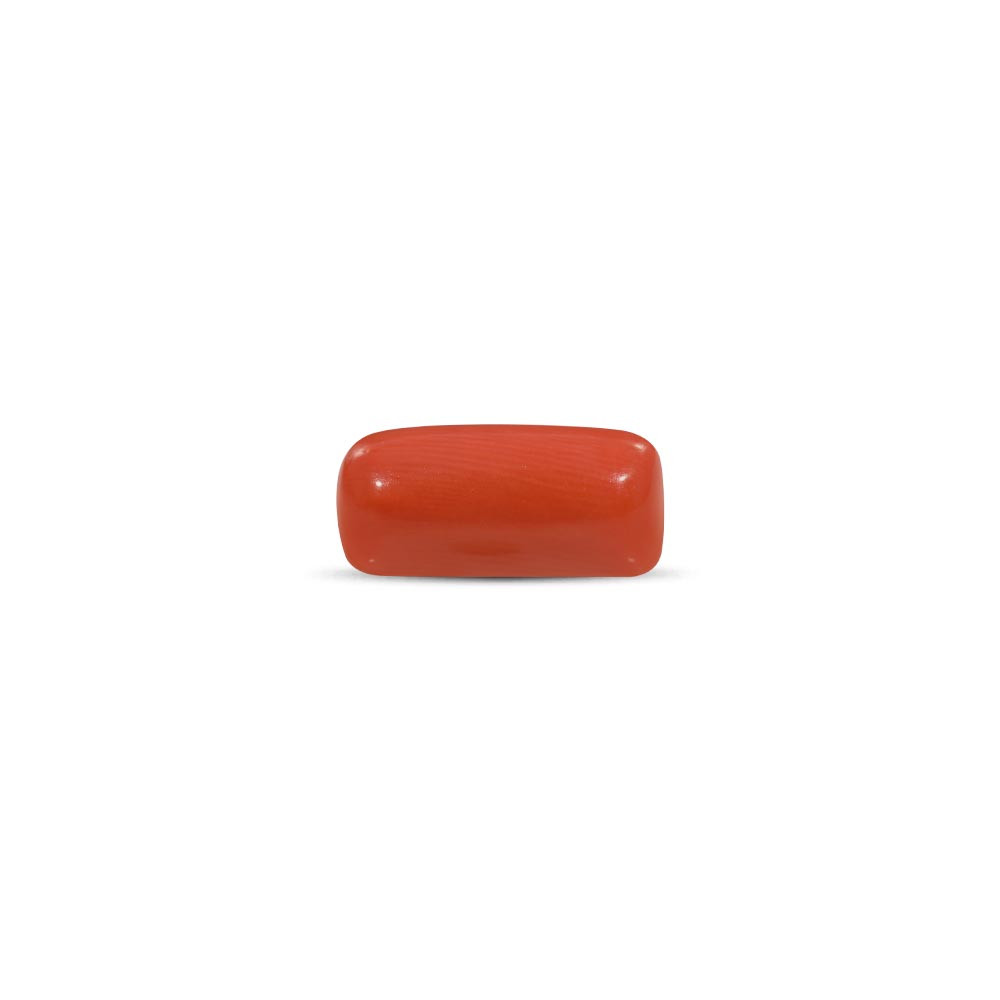 Red Coral - 14.57 Carat