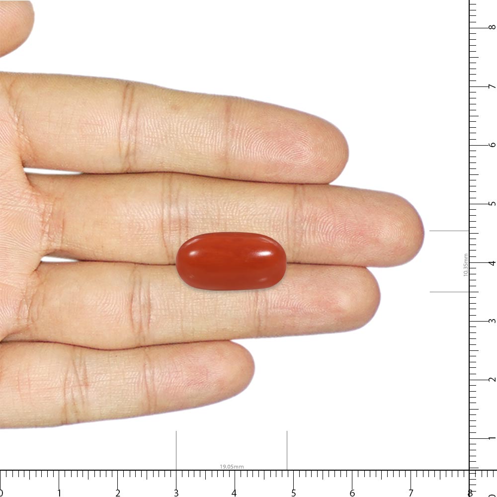 Red Coral - 15 Carat