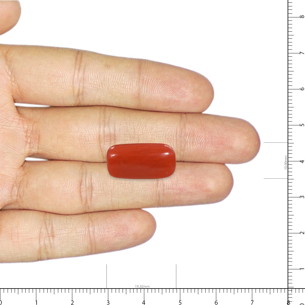 Red Coral - 15.07 Carat