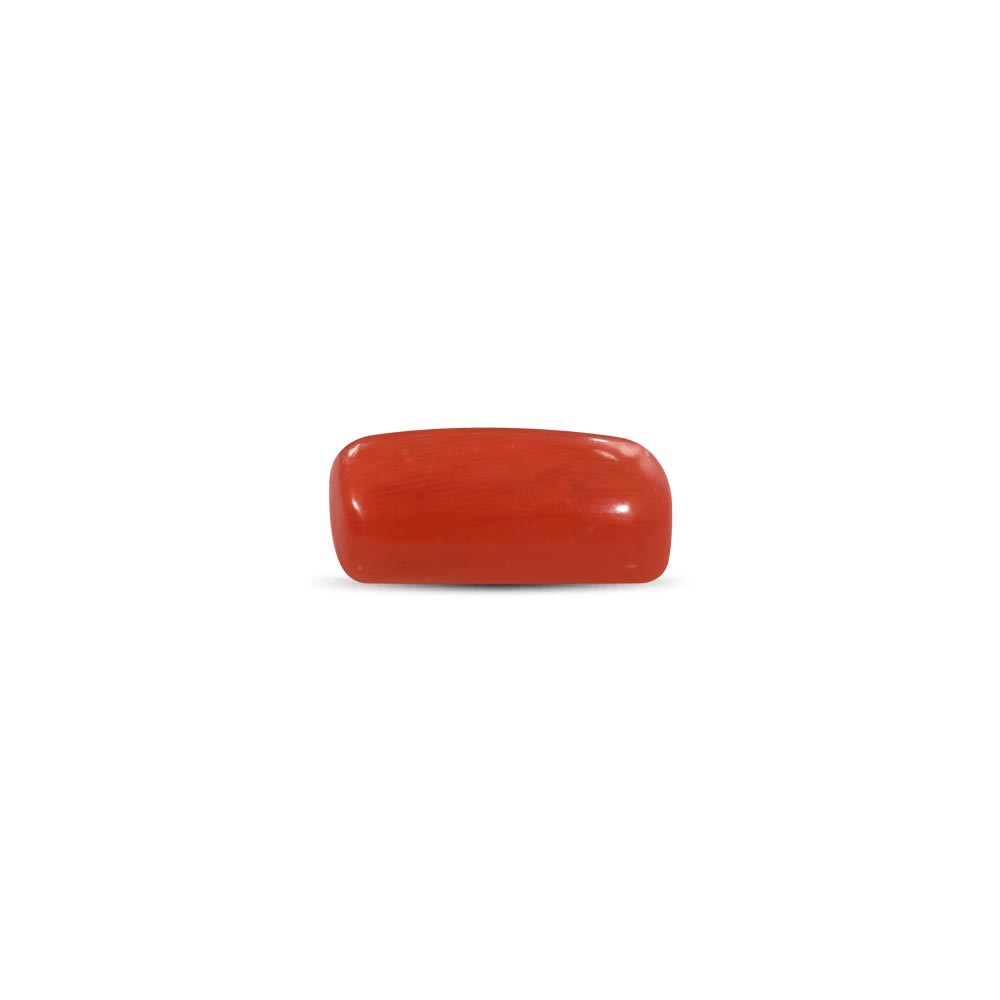 Red Coral - 15.07 Carat