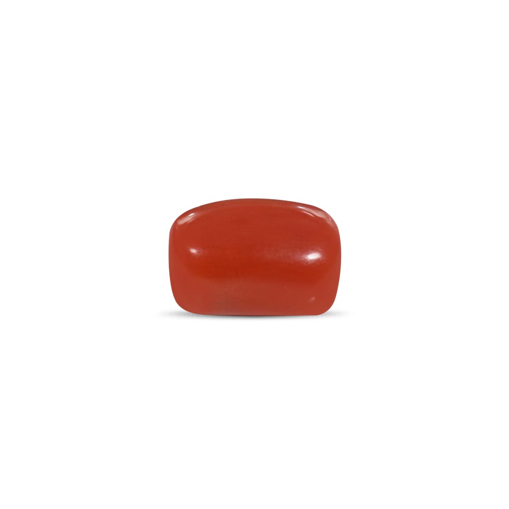 Red Coral - 15.22 Carat
