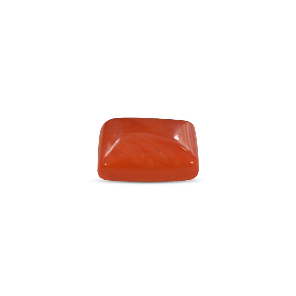Red Coral - 15.27 Carat