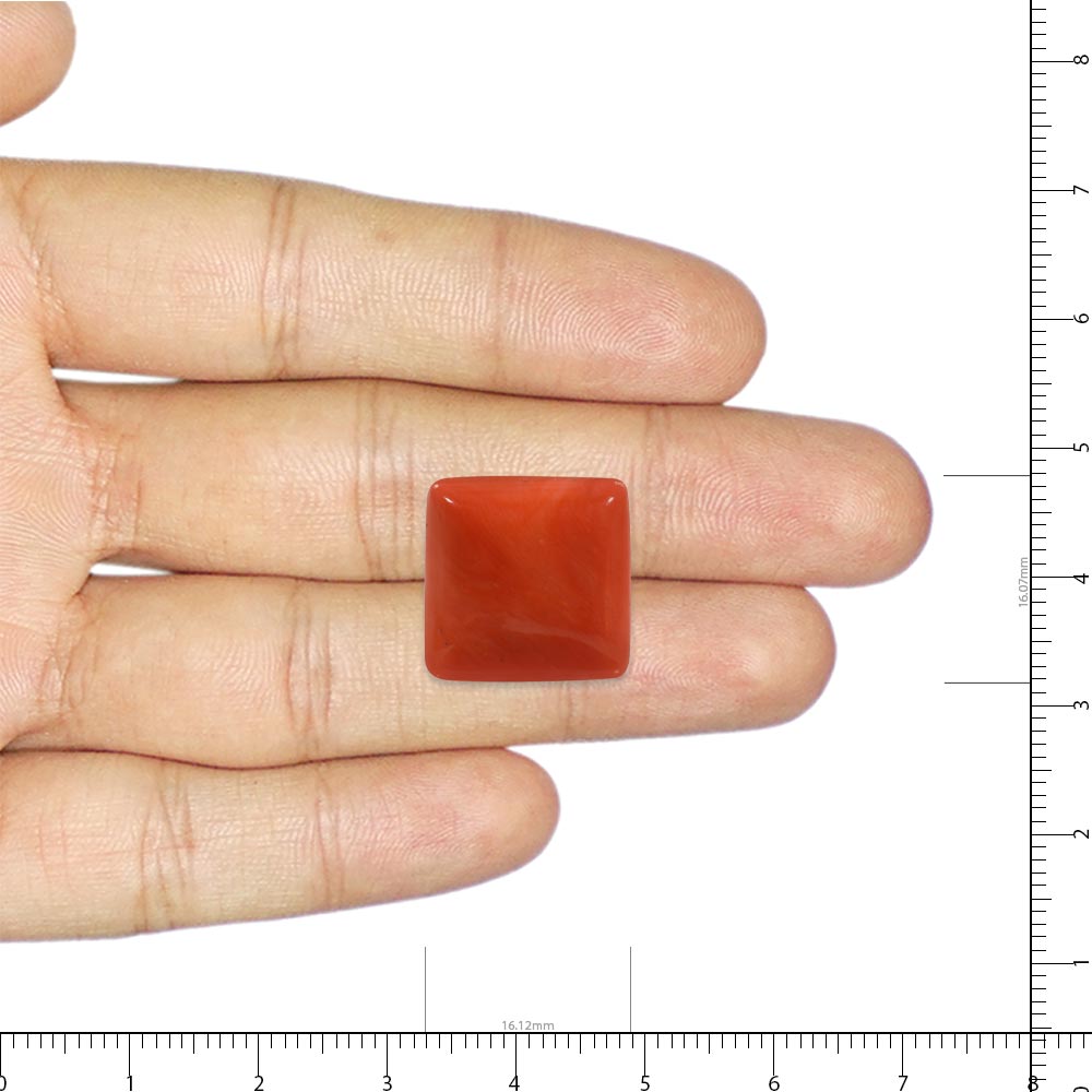 Red Coral - 15.27 Carat