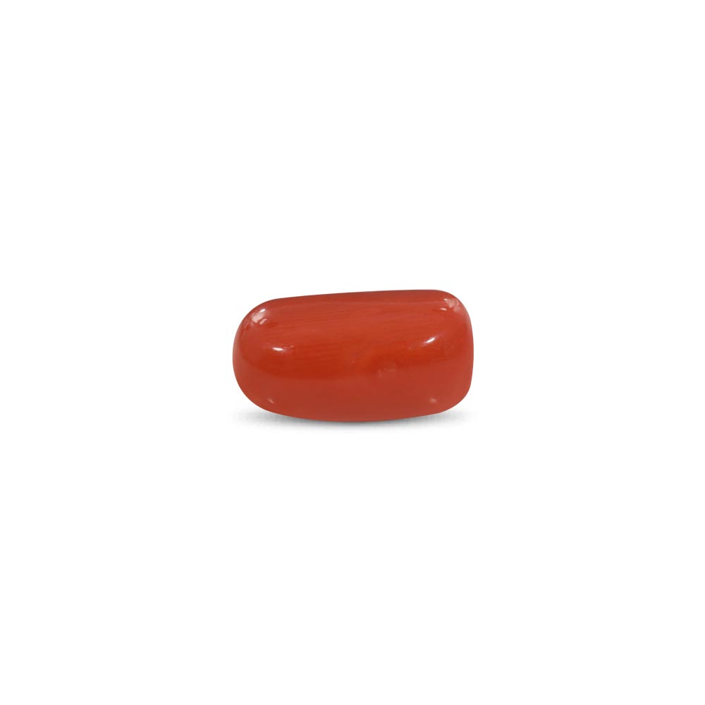 Red Coral - 15.9 Carat