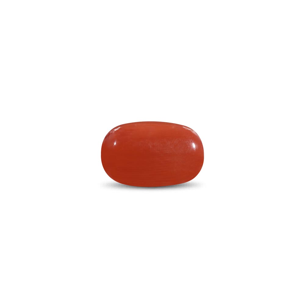 Red Coral - 15.9 Carat
