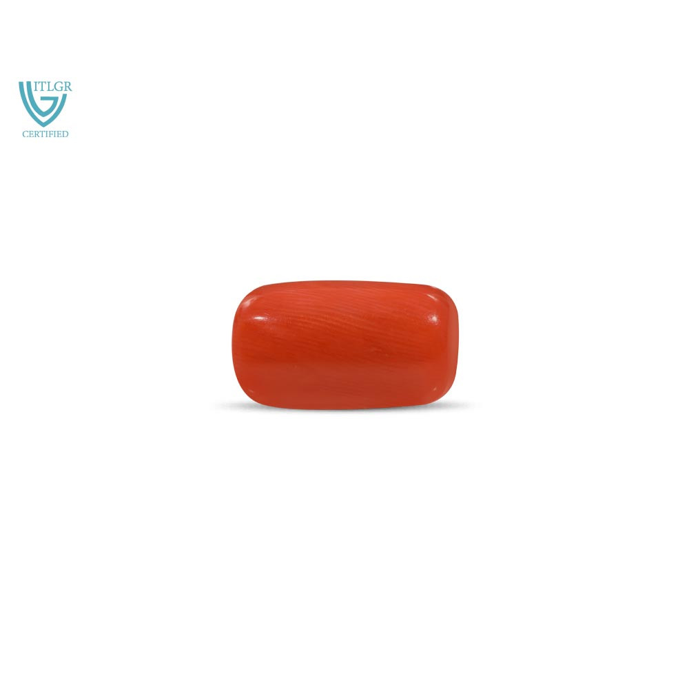Red Coral - 15.93 Carat