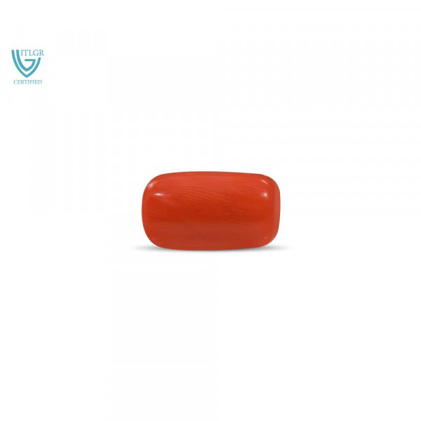 Red Coral - 15.93 Carat