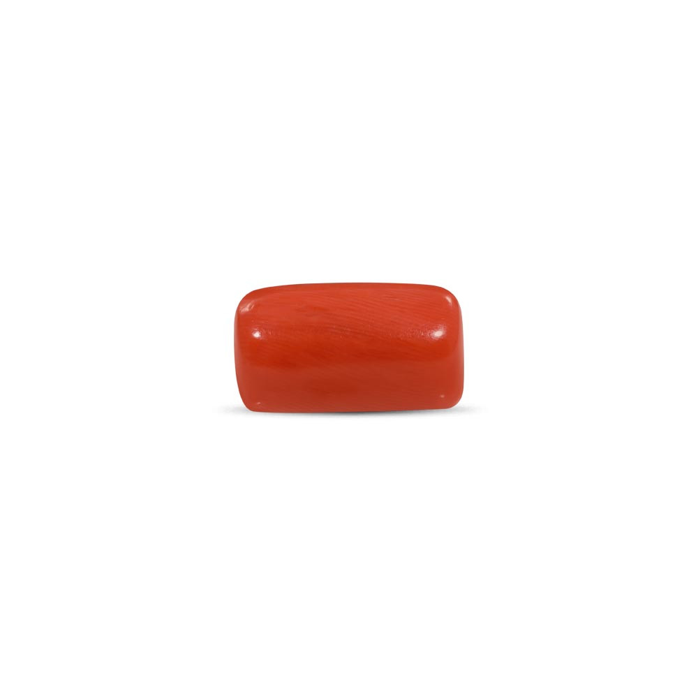 Red Coral - 15.93 Carat