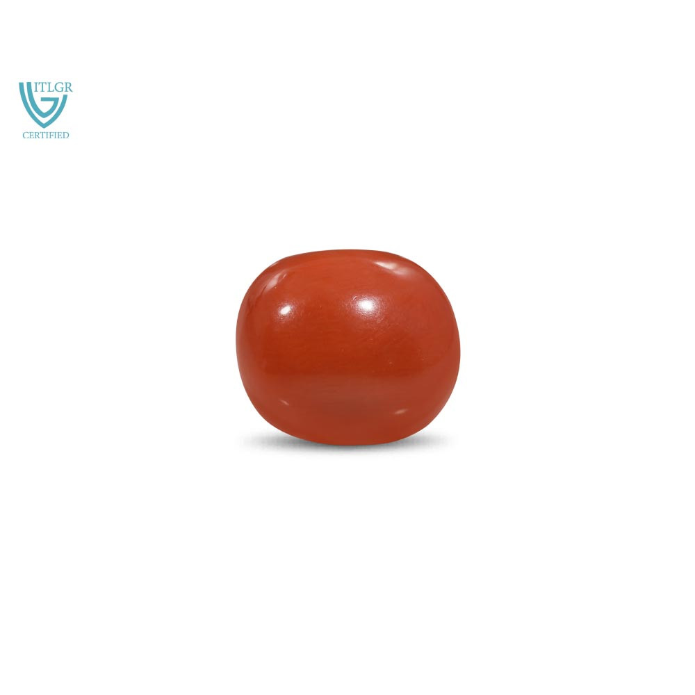 Red Coral - 17.18 Carat