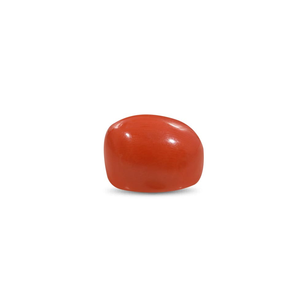 Red Coral - 17.18 Carat
