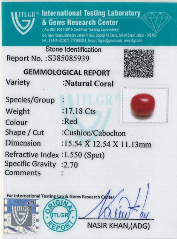 Red Coral - 17.18 Carat