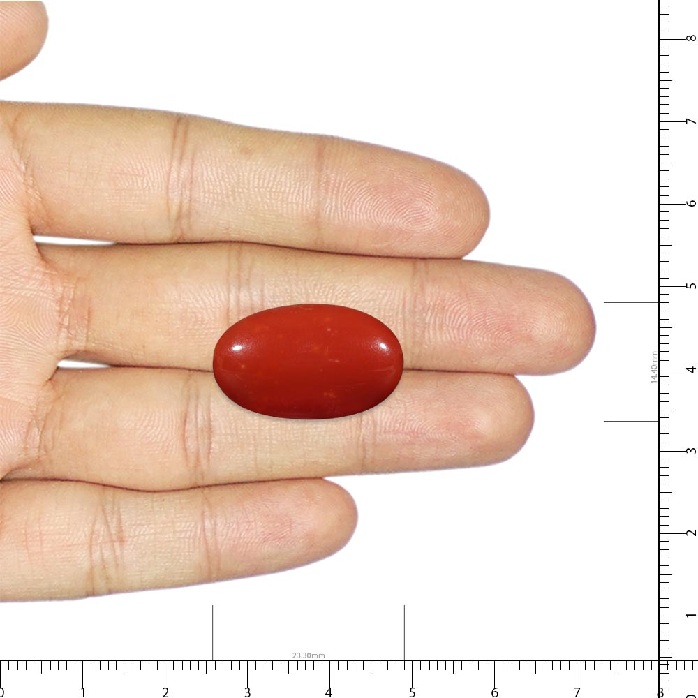 Red Coral - 17.81 Carat