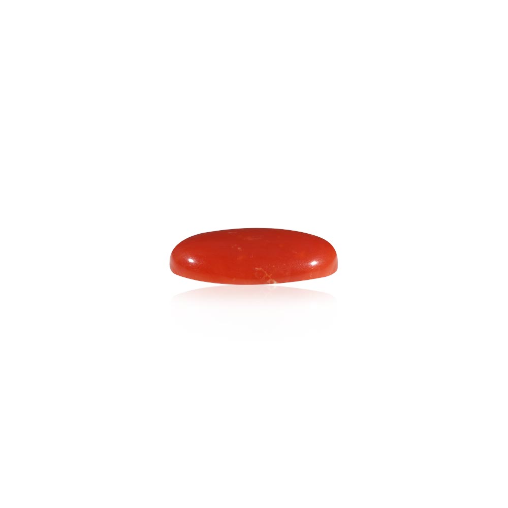 Red Coral - 17.81 Carat