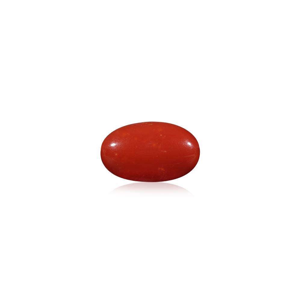 Red Coral - 17.81 Carat