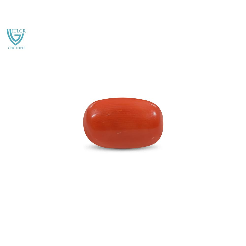 Red Coral - 18 Carat