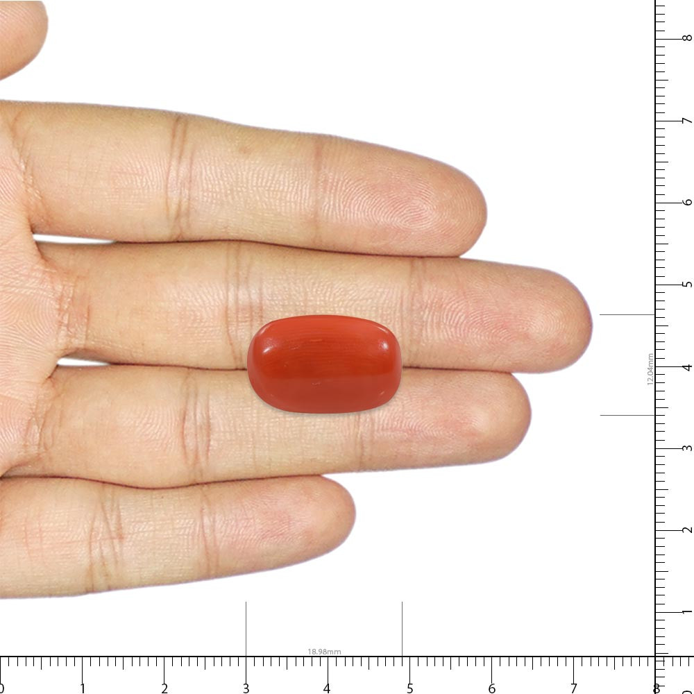 Red Coral - 18 Carat