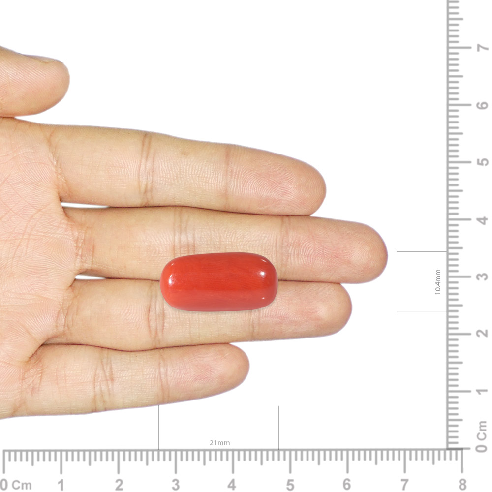 Red Coral - 18.59 Carat