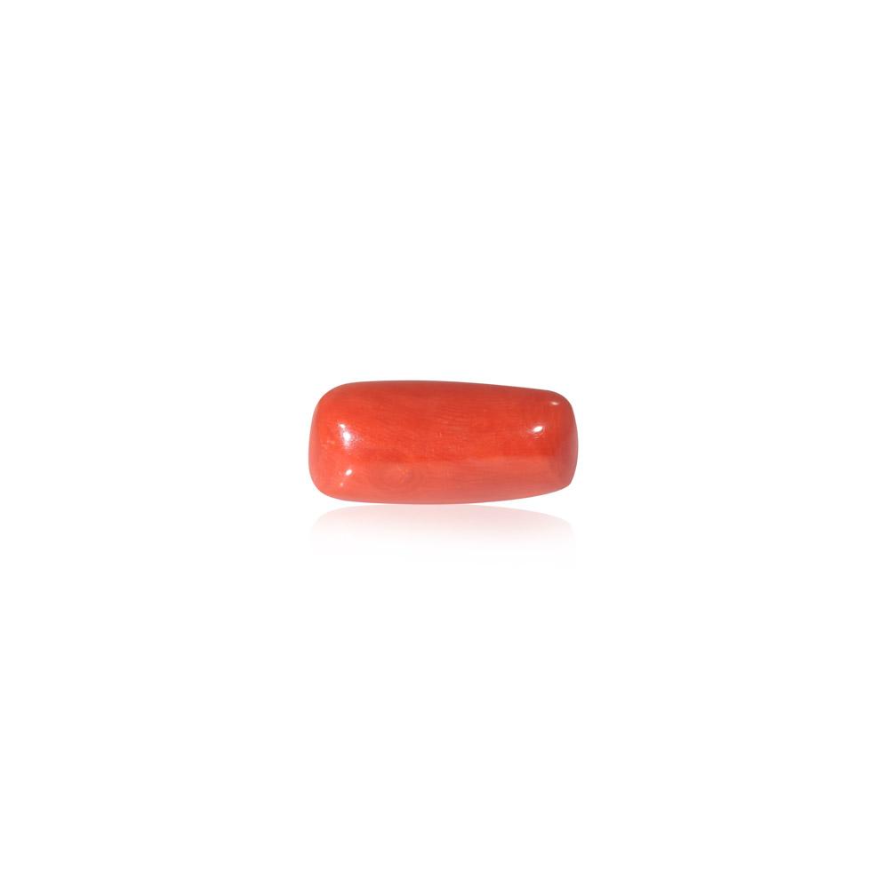 Red Coral - 18.59 Carat