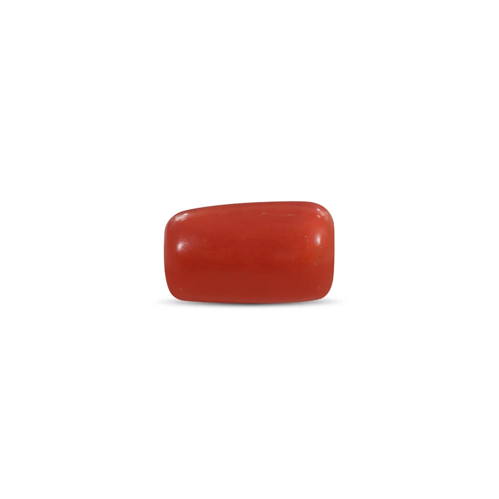 Red Coral - 18.71 Carat