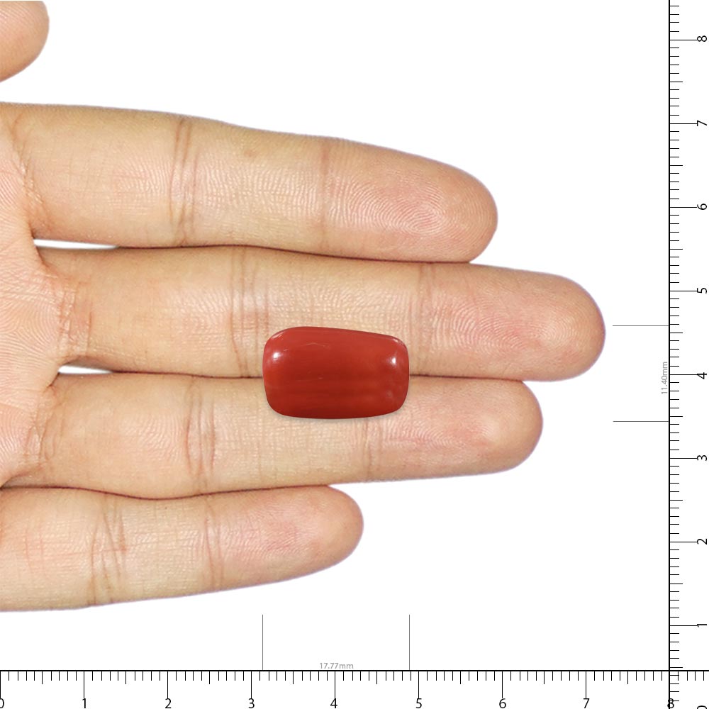 Red Coral - 18.71 Carat
