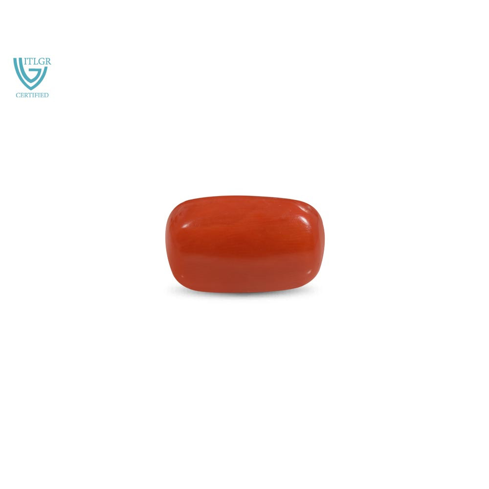 Red Coral - 18.97 Carat