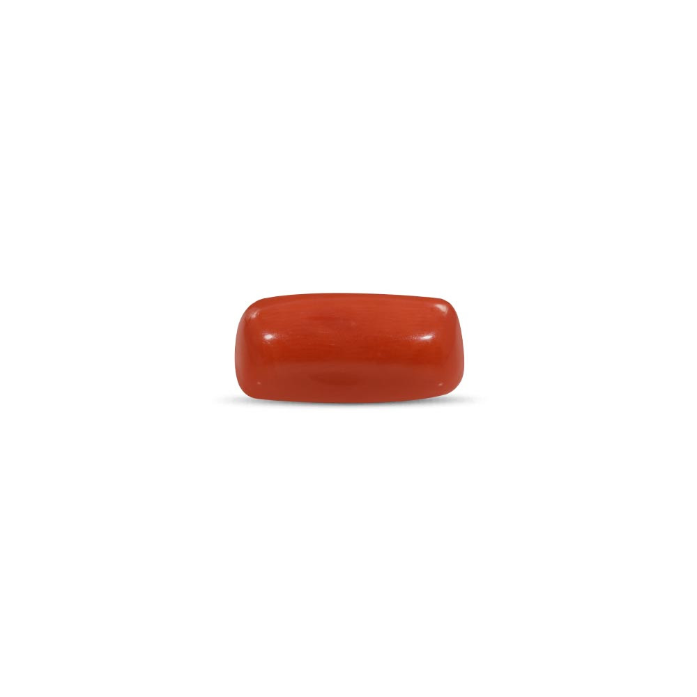 Red Coral - 18.97 Carat