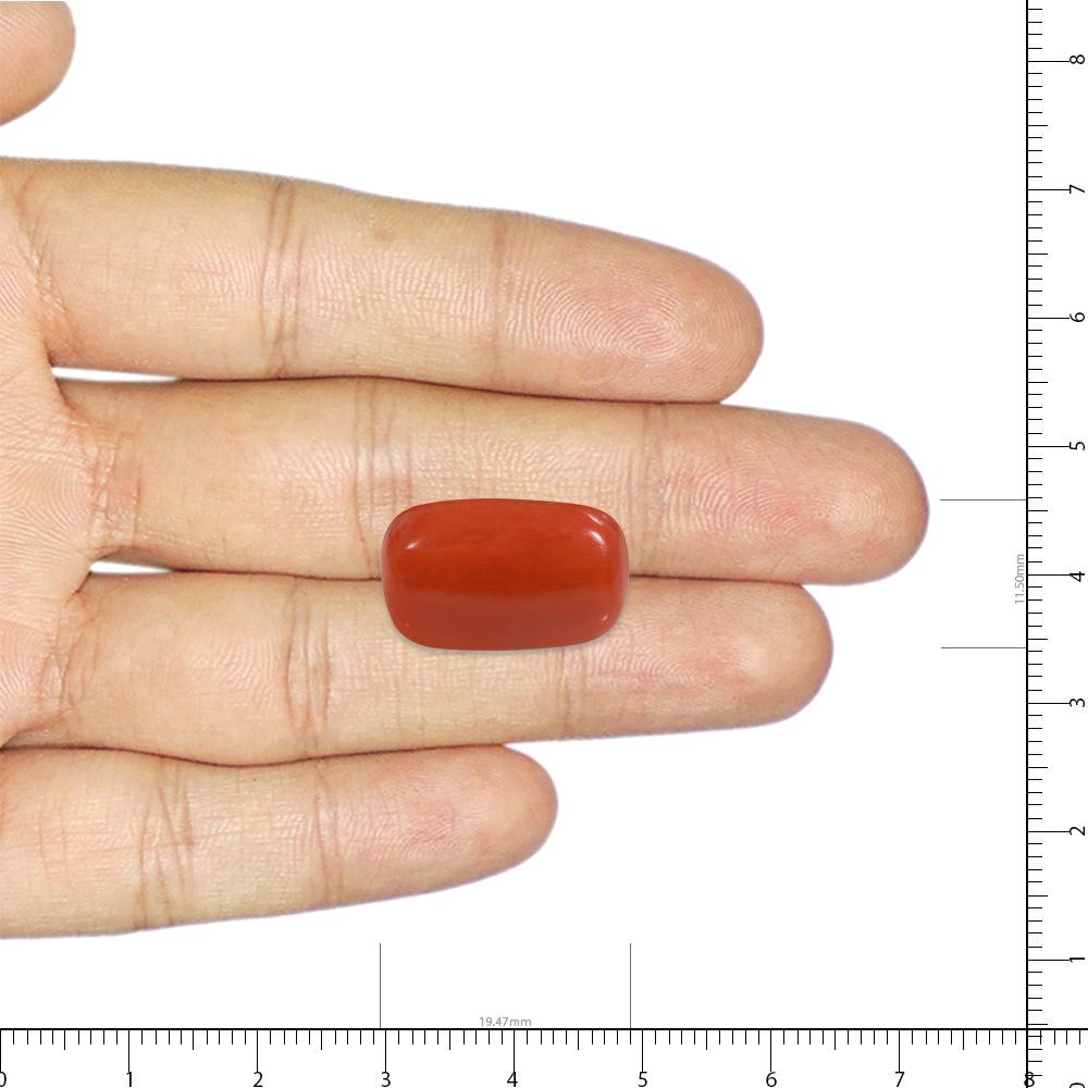 Red Coral - 18.97 Carat