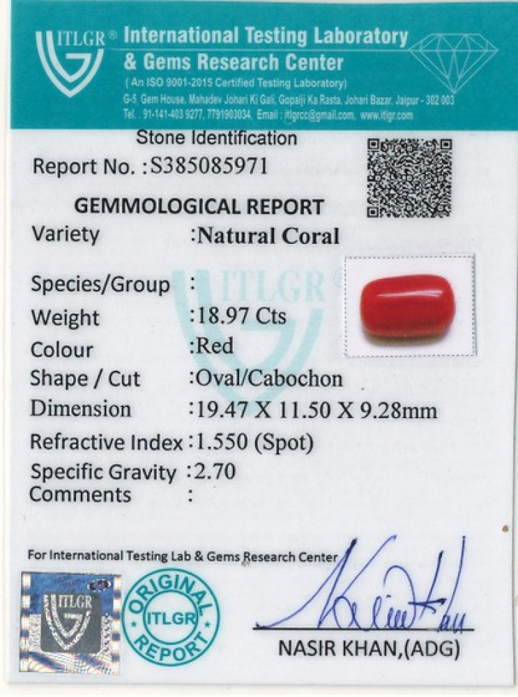 Red Coral - 18.97 Carat