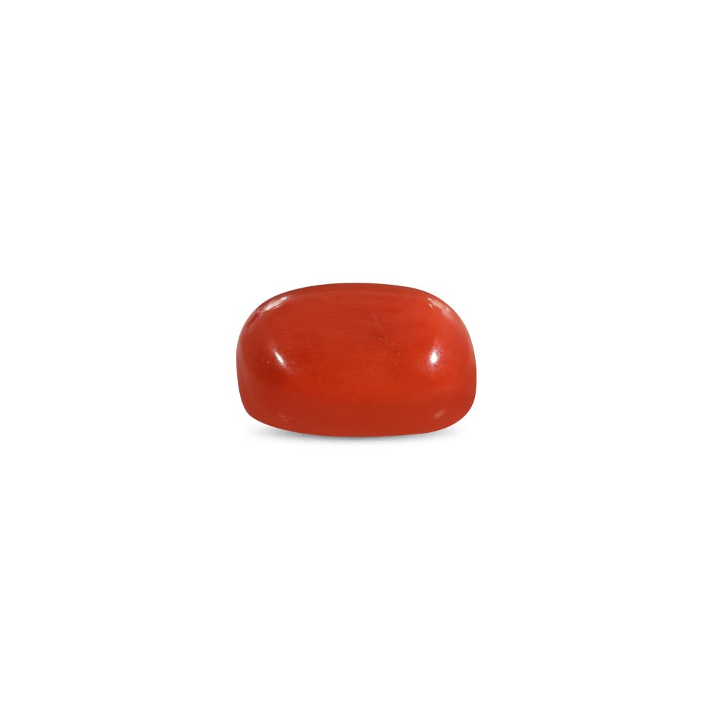 Red Coral - 19.22 Carat