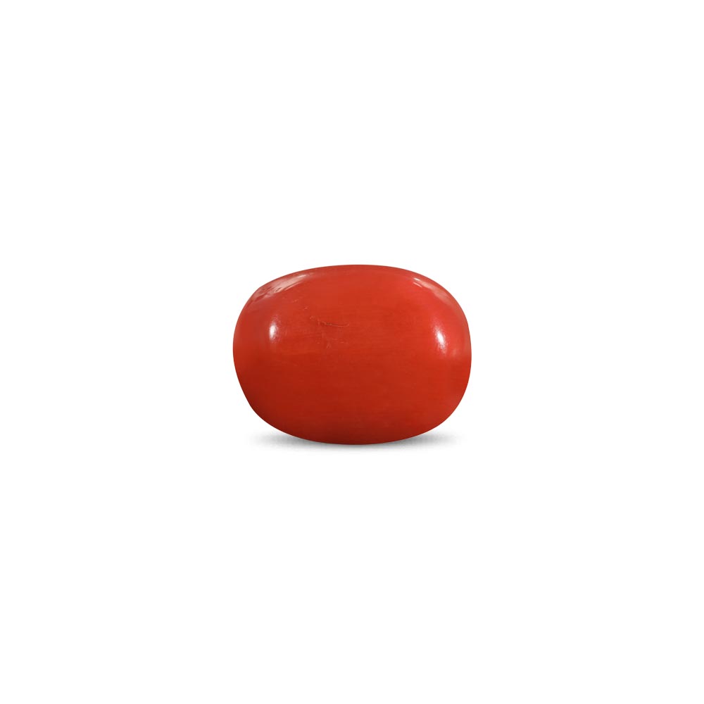 Red Coral - 19.22 Carat