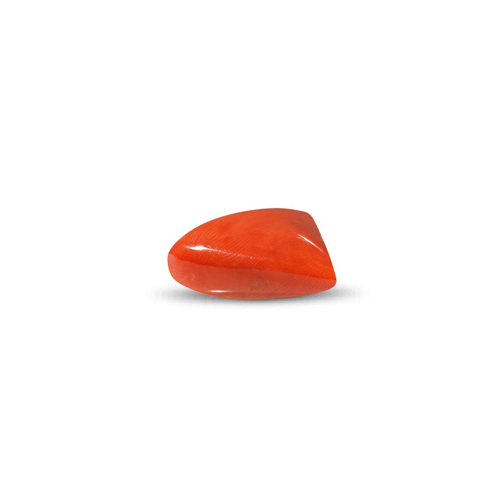 Red Coral - 19.9 Carat