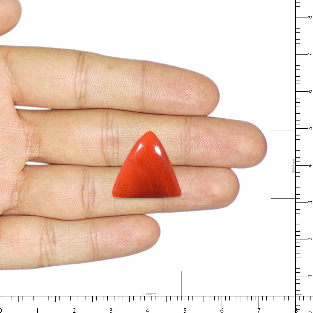 Red Coral - 19.9 Carat