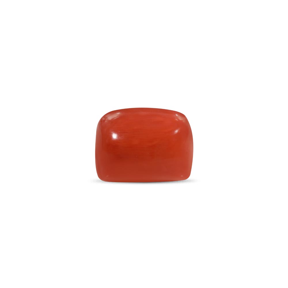 Red Coral - 19.93 Carat
