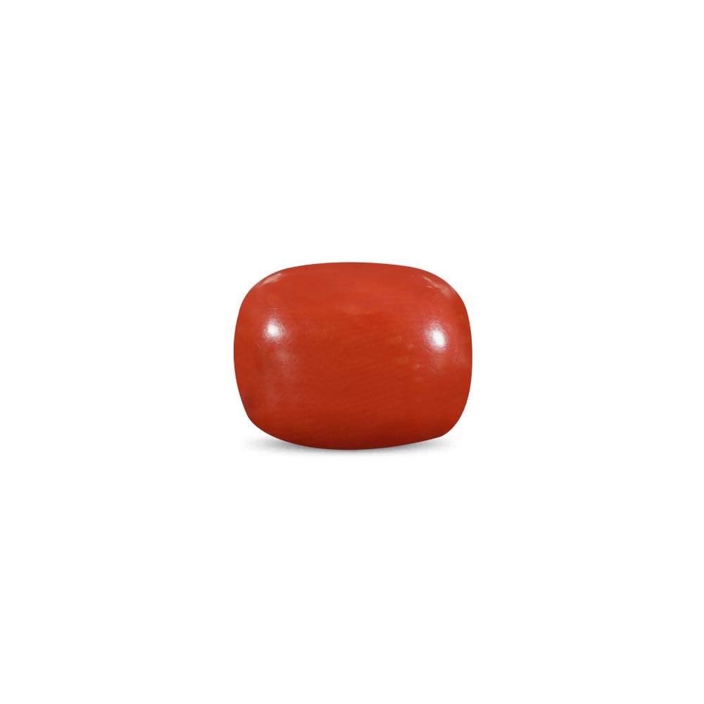 Red Coral - 19.93 Carat