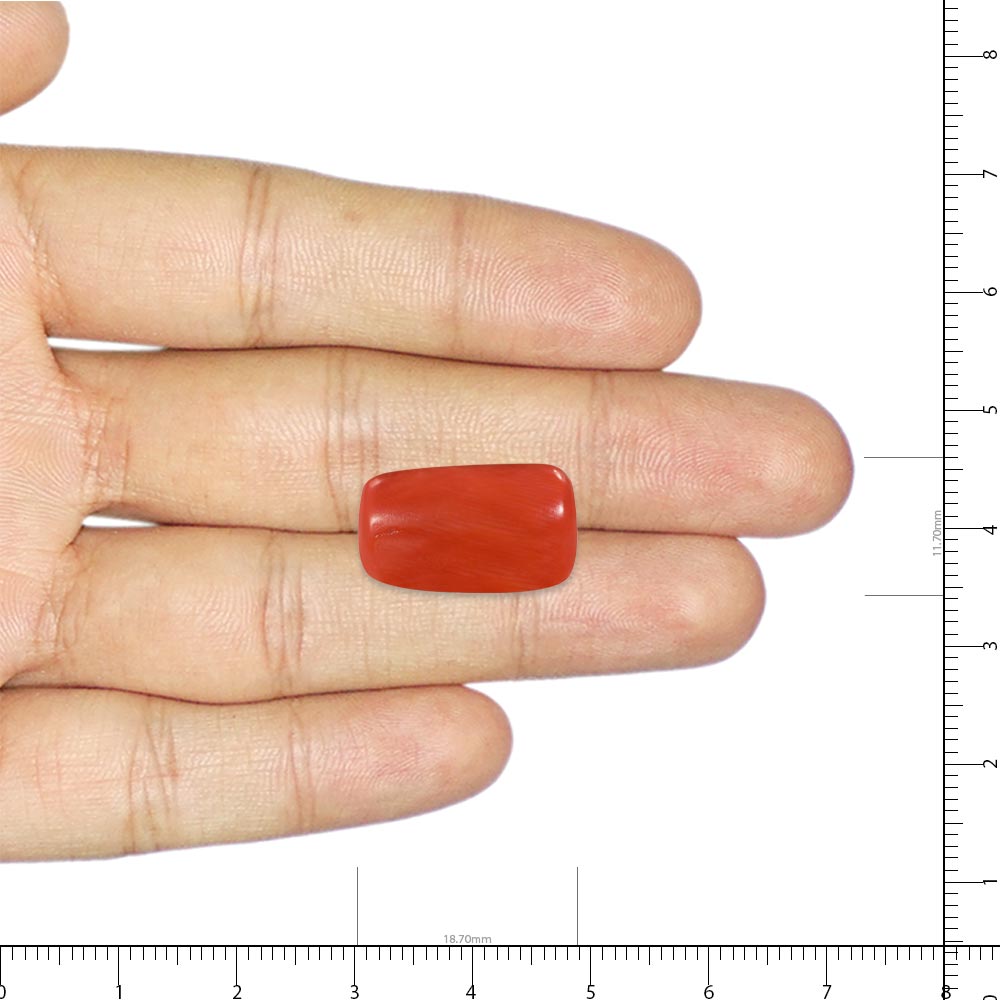 Red Coral - 20.29 Carat
